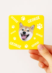 personalised dog tea bag tin; custom pet name tea caddy; dog lover tea storage box; travel tea tin for pet owners