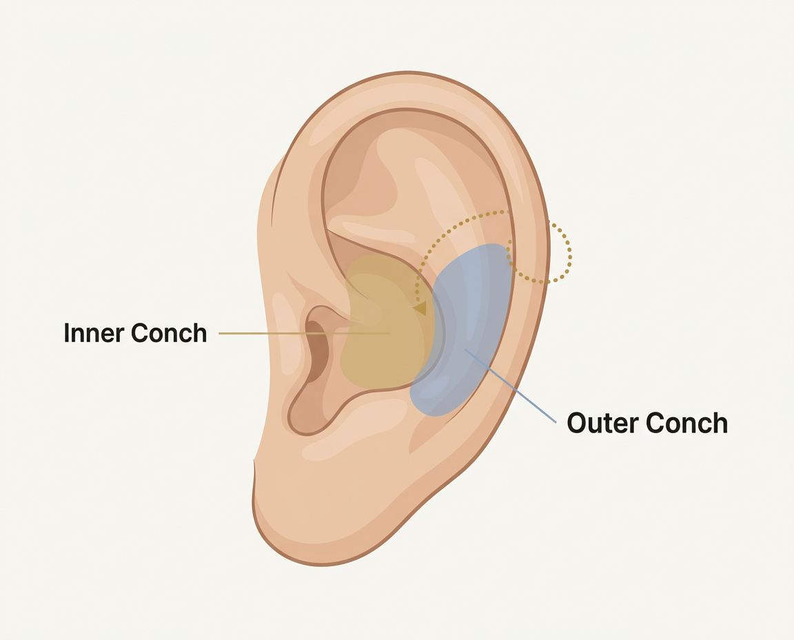 Ear diagram showing inner conch and outer conch piercing positions with hoop path illustrated