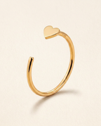 Heart Hoop