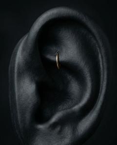 14K Gold Rook Curved Barbell