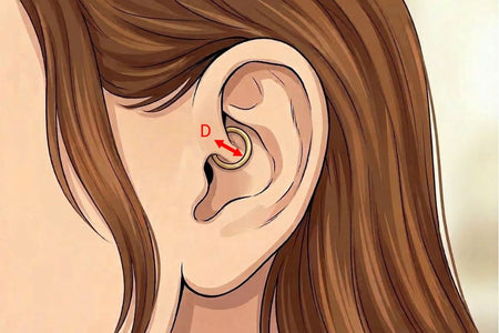 Daith Piercing piercing with 14K solid gold hoop ring