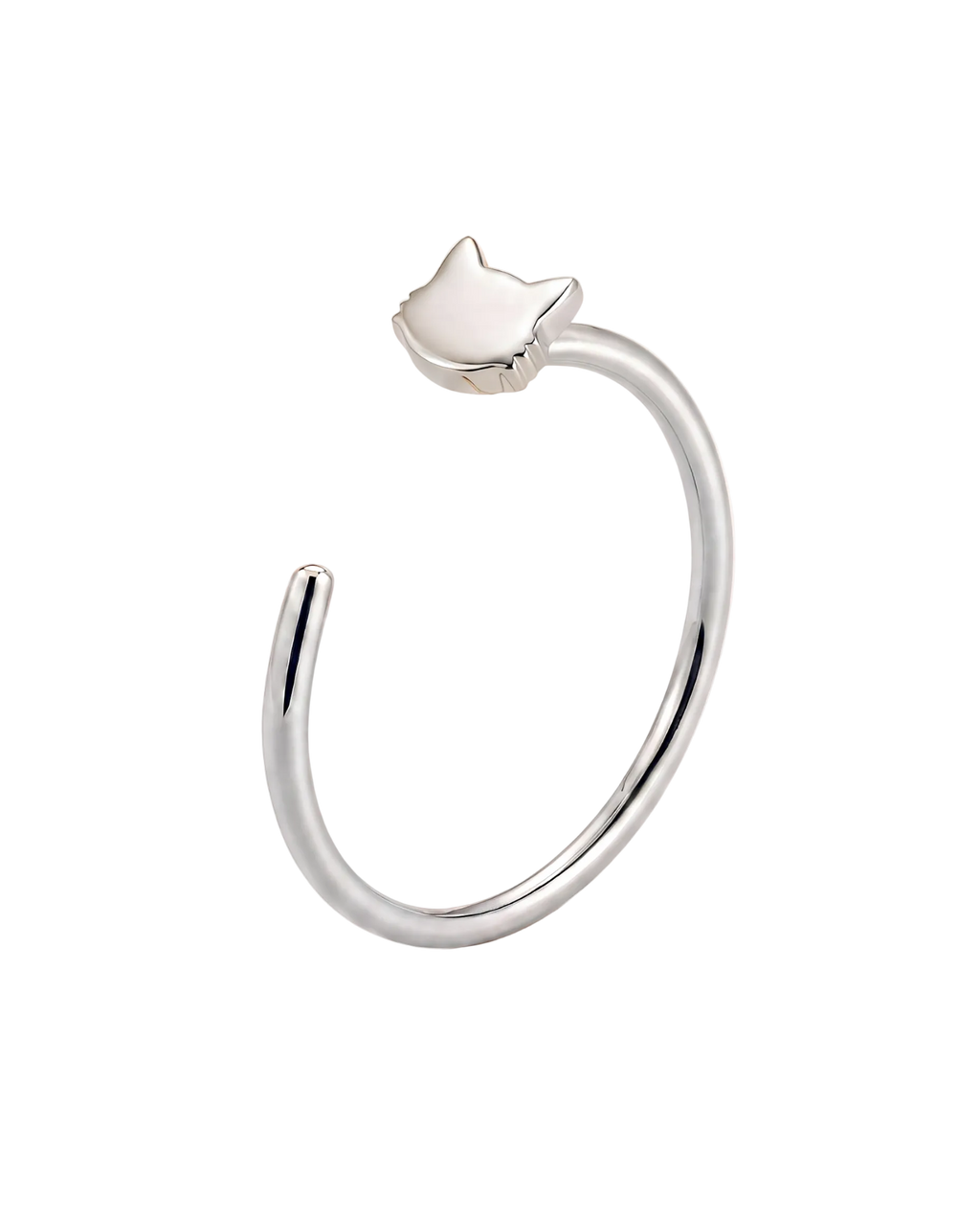 Cat Hoop