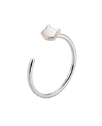 Cat Hoop