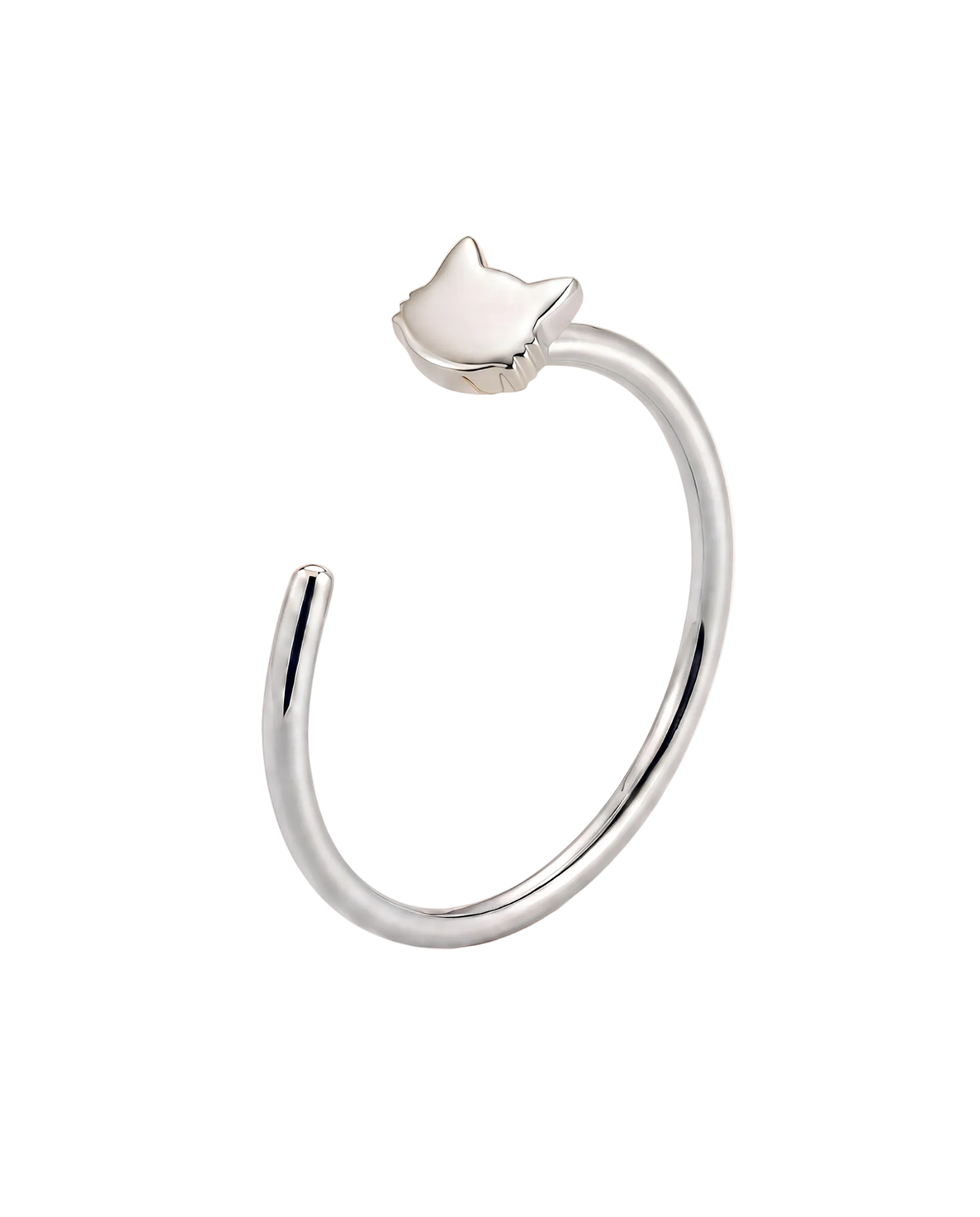Cat Hoop