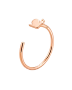 Snail Hoop