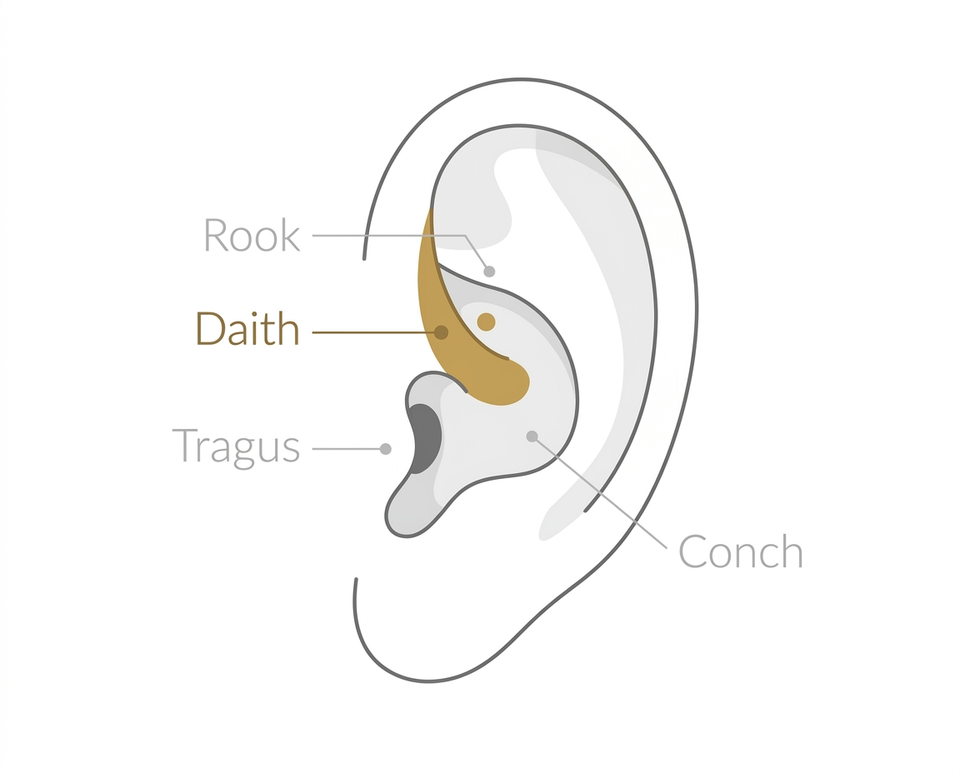 Daith piercing anatomy diagram showing the innermost cartilage fold location above the ear canal