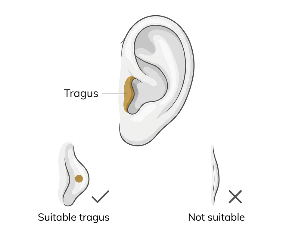 Tragus piercing anatomy diagram showing the cartilage flap location and what makes a tragus suitable for piercing