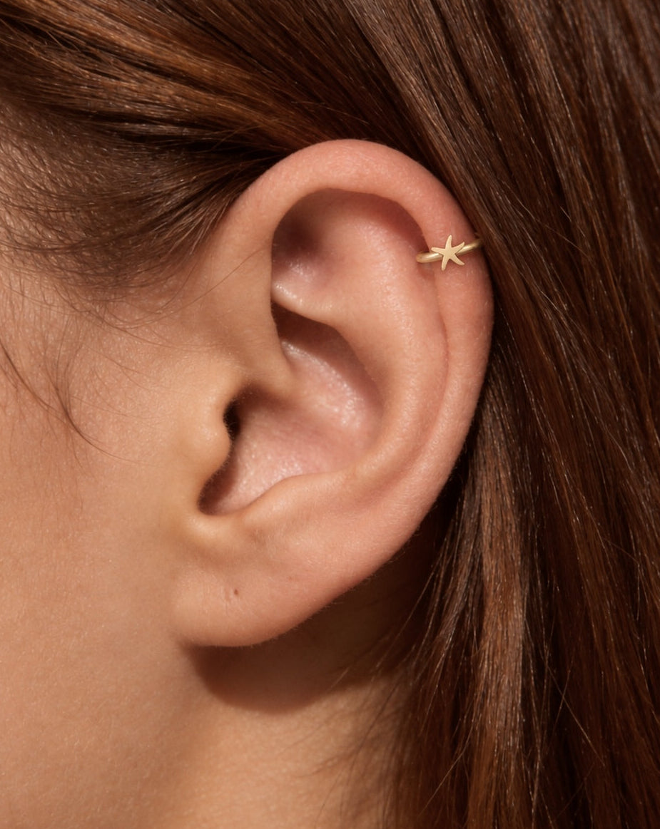 This little starfish has five softly tapered arms, each with a rounded tip. Their gently varied curves give it a sea-life silhouette, while the smooth, polished surface keeps the detail simple. There are no gemstones or textured embellishments.